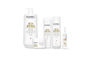 ds overview segment teaser rr